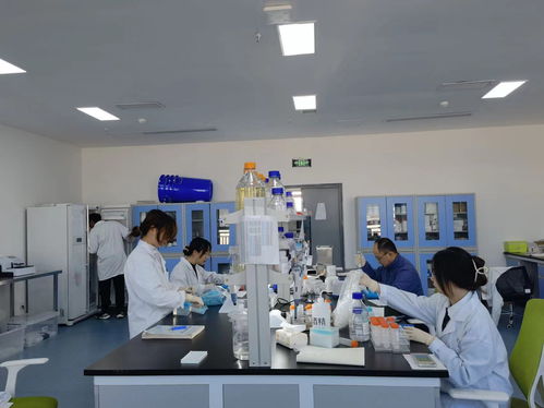 四川推進(jìn)科技創(chuàng)新領(lǐng)域兩新組織兩個覆蓋 生物科技技術(shù)咨詢的新機(jī)遇